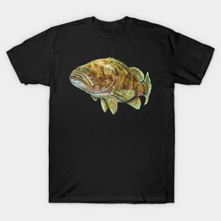 Atlantic Grouper T-Shirt